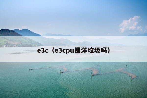 e3c（e3cpu是洋垃圾吗）