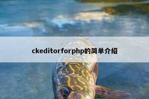 ckeditorforphp的简单介绍