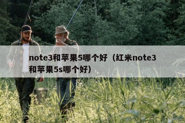 note3和苹果5哪个好（红米note3和苹果5s哪个好）