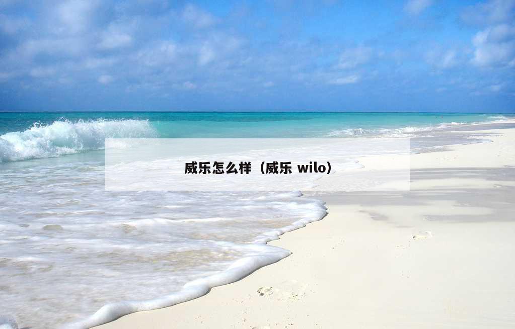 威乐怎么样（威乐 wilo）