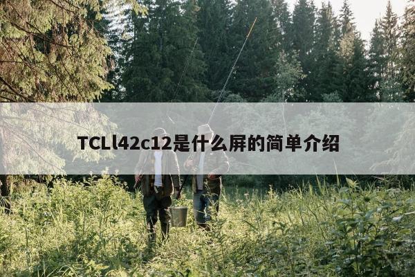 TCLl42c12是什么屏的简单介绍