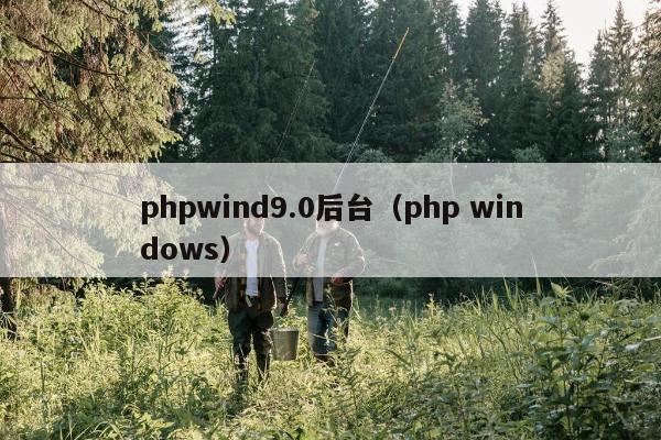 phpwind9.0后台（php windows）