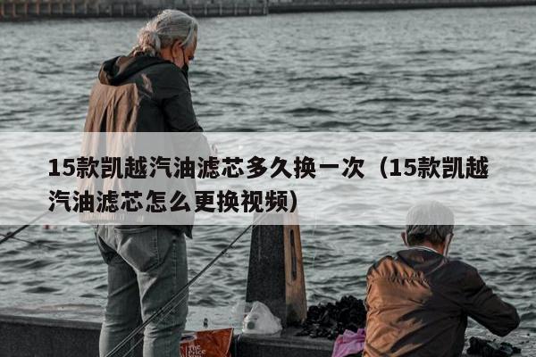 15款凯越汽油滤芯多久换一次（15款凯越汽油滤芯怎么更换视频）