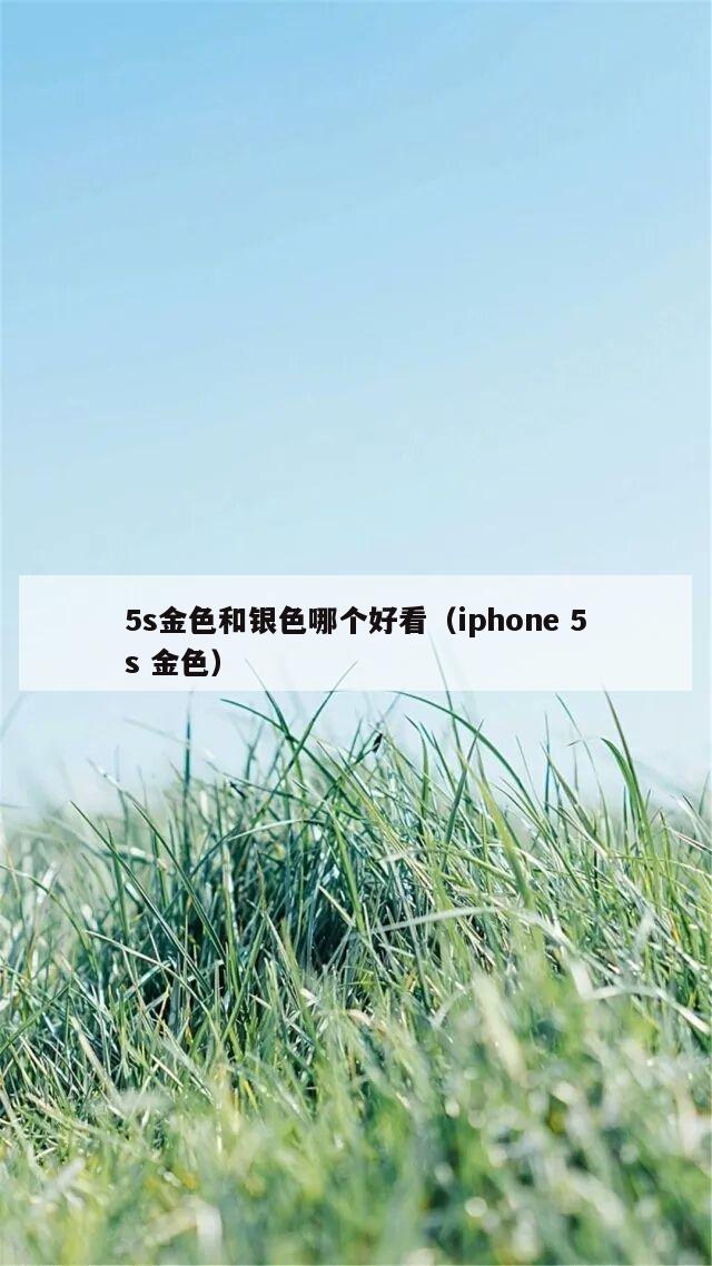 5s金色和银色哪个好看（iphone 5s 金色）