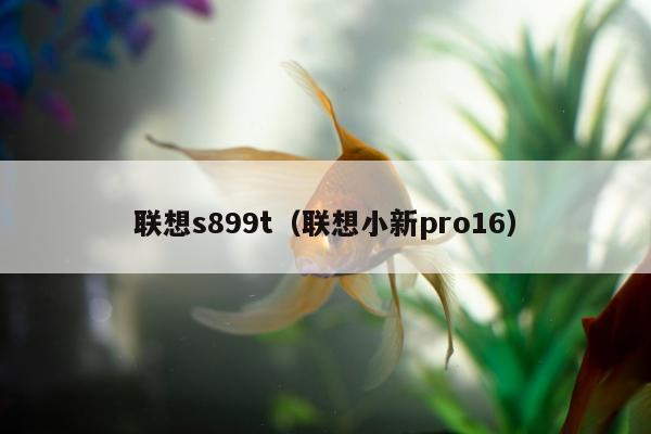 联想s899t（联想小新pro16）