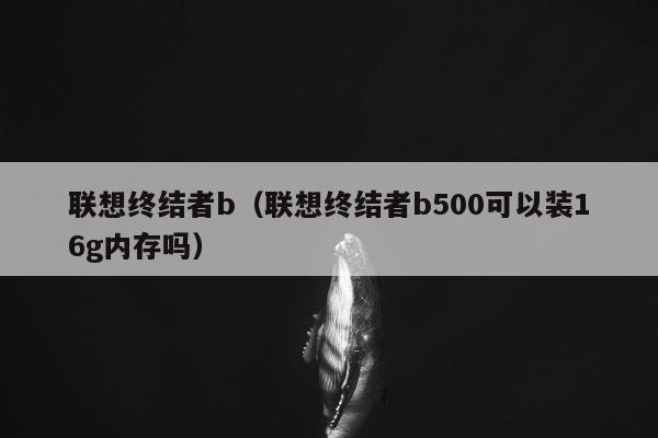 联想终结者b（联想终结者b500可以装16g内存吗）