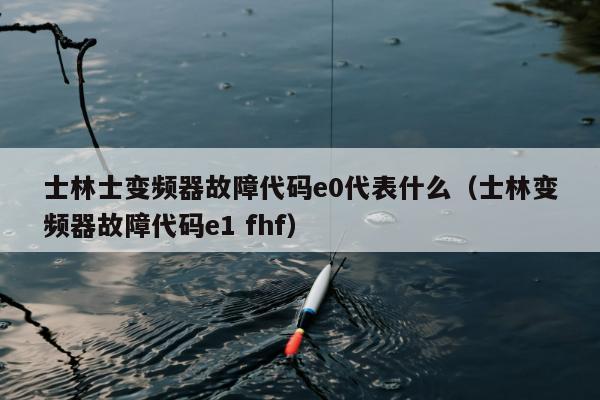 士林士变频器故障代码e0代表什么（士林变频器故障代码e1 fhf）