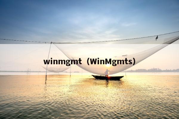 winmgmt（WinMgmts）