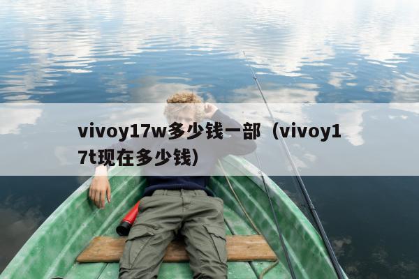 vivoy17w多少钱一部（vivoy17t现在多少钱）