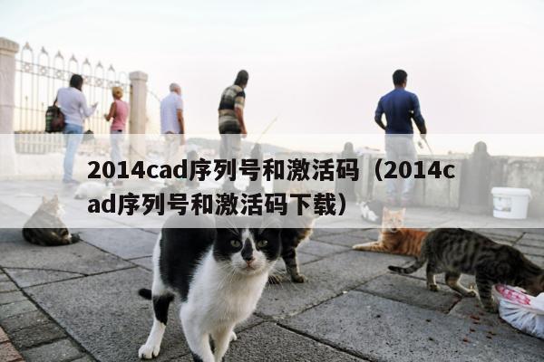 2014cad序列号和激活码（2014cad序列号和激活码下载）