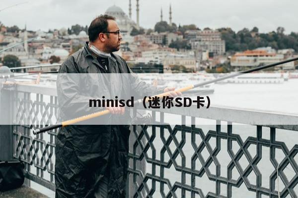 minisd（迷你SD卡）