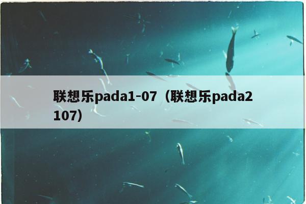 联想乐pada1-07（联想乐pada2107）