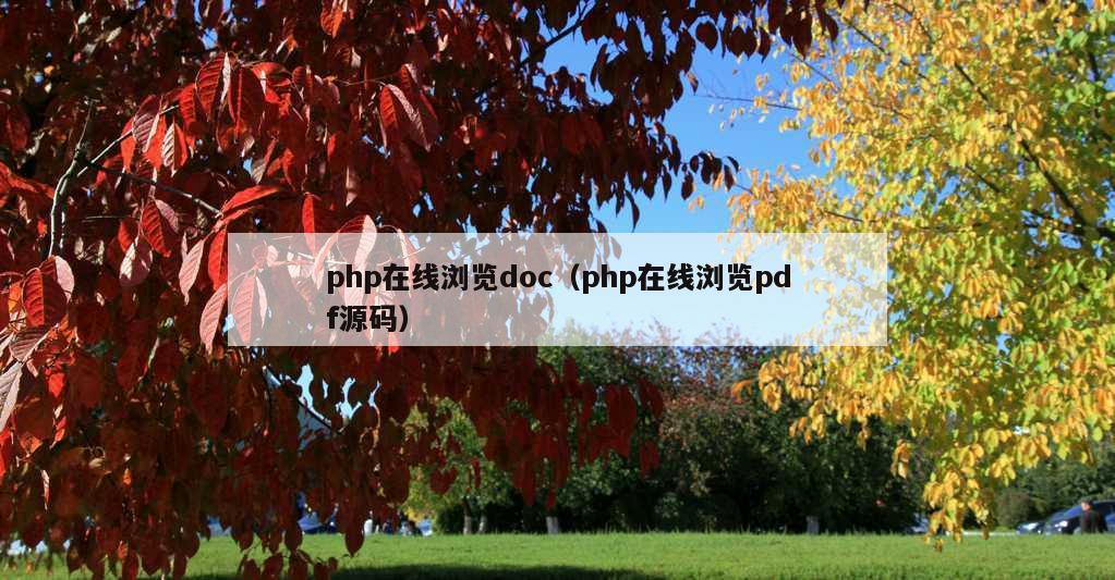 php在线浏览doc（php在线浏览pdf源码）