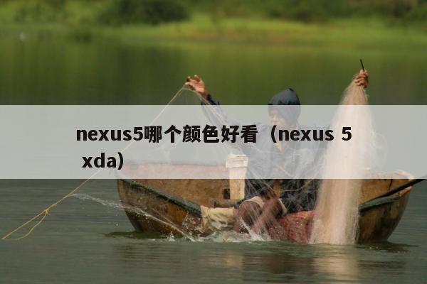 nexus5哪个颜色好看（nexus 5 xda）