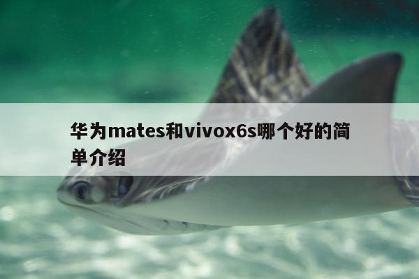 华为mates和vivox6s哪个好的简单介绍