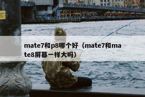 mate7和p8哪个好（mate7和mate8屏幕一样大吗）