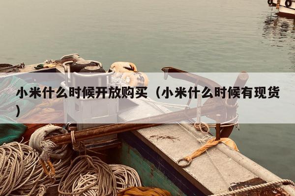 小米什么时候开放购买（小米什么时候有现货）