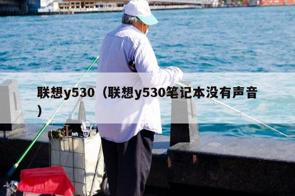 联想y530（联想y530笔记本没有声音）