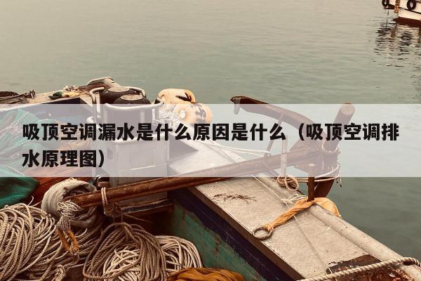 吸顶空调漏水是什么原因是什么（吸顶空调排水原理图）