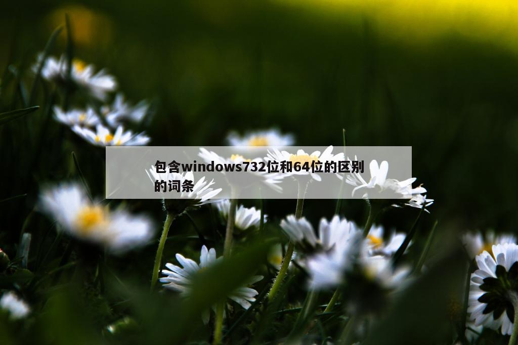 包含windows732位和64位的区别的词条