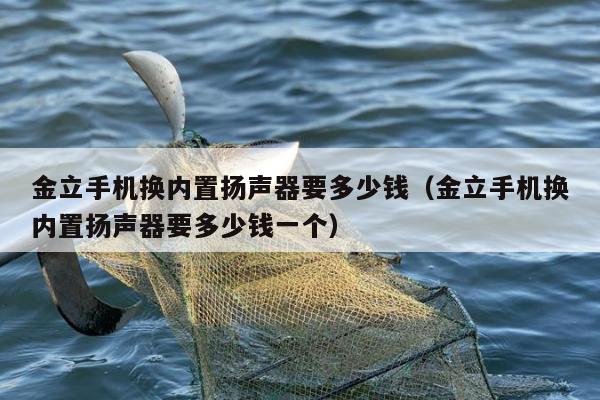 金立手机换内置扬声器要多少钱（金立手机换内置扬声器要多少钱一个）