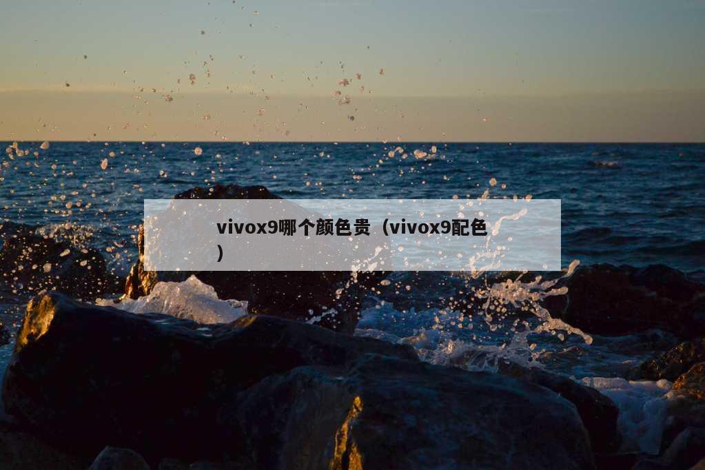 vivox9哪个颜色贵（vivox9配色）