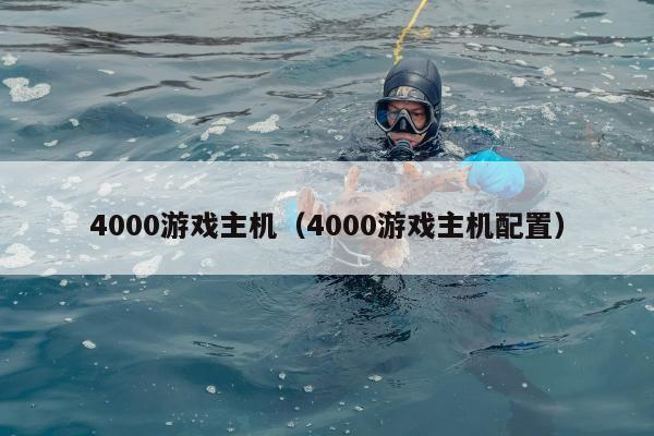 4000游戏主机（4000游戏主机配置）