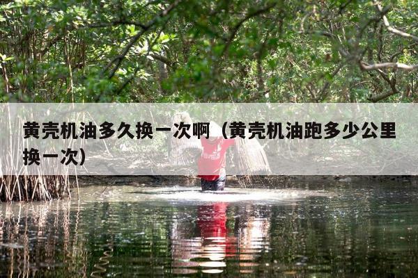 黄壳机油多久换一次啊（黄壳机油跑多少公里换一次）