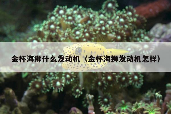 金杯海狮什么发动机（金杯海狮发动机怎样）