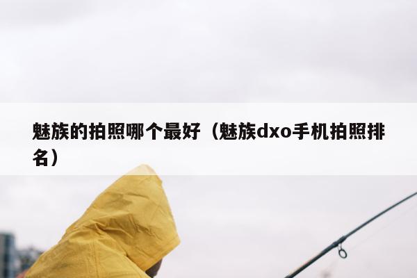 魅族的拍照哪个最好（魅族dxo手机拍照排名）