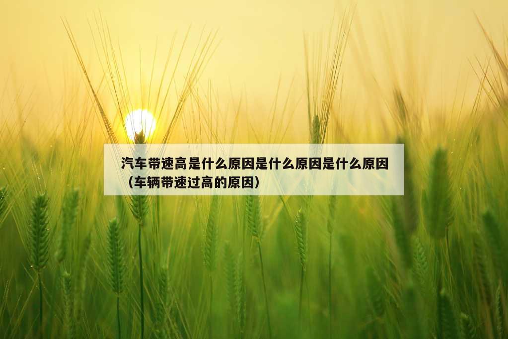 汽车带速高是什么原因是什么原因是什么原因（车辆带速过高的原因）