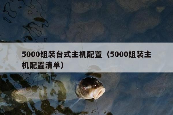 5000组装台式主机配置（5000组装主机配置清单）