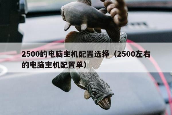 2500的电脑主机配置选择（2500左右的电脑主机配置单）