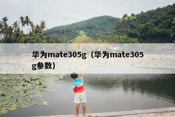 华为mate305g（华为mate305g参数）