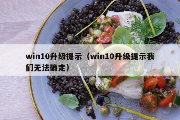 win10升级提示（win10升级提示我们无法确定）