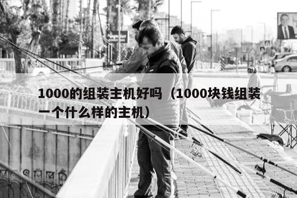 1000的组装主机好吗（1000块钱组装一个什么样的主机）