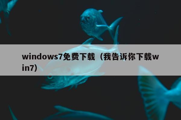 windows7免费下载（我告诉你下载win7）