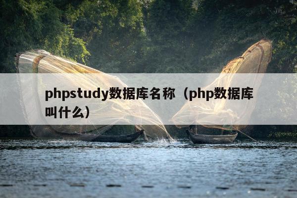 phpstudy数据库名称（php数据库叫什么）