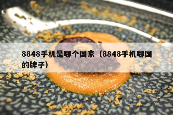 8848手机是哪个国家（8848手机哪国的牌子）