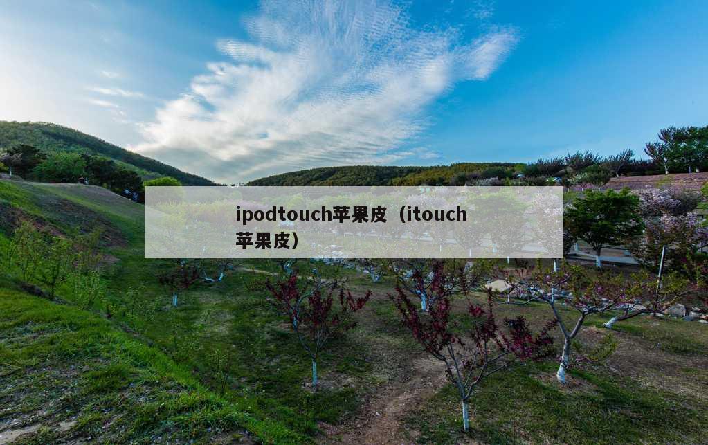 ipodtouch苹果皮（itouch 苹果皮）