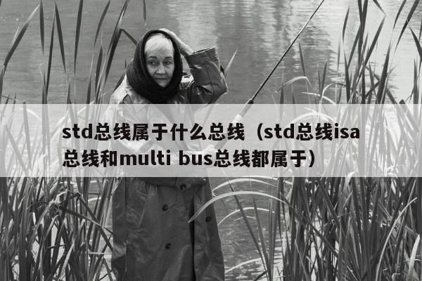 std总线属于什么总线（std总线isa总线和multi bus总线都属于）