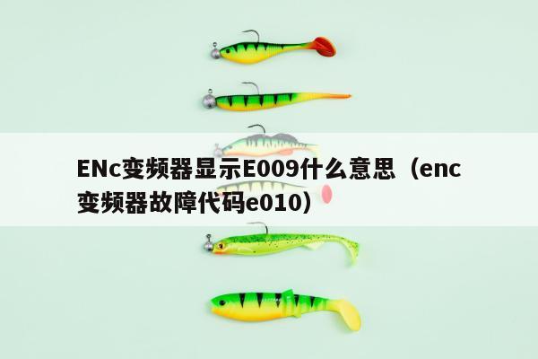 ENc变频器显示E009什么意思（enc变频器故障代码e010）