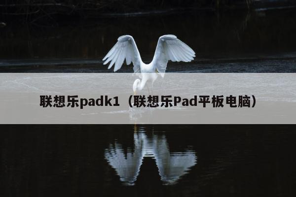 联想乐padk1（联想乐Pad平板电脑）