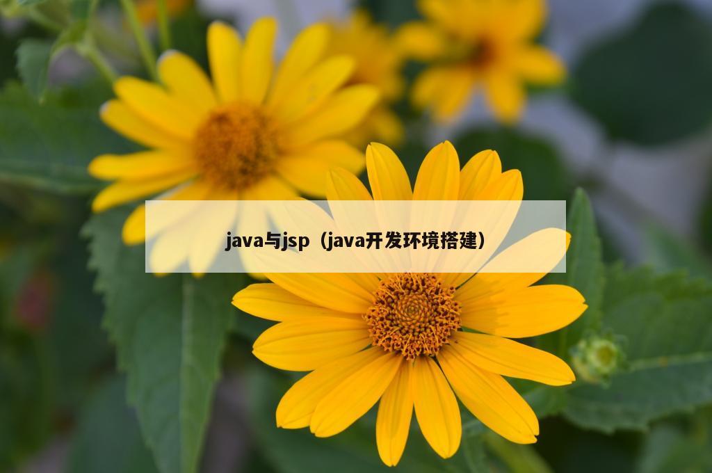 java与jsp（java开发环境搭建）