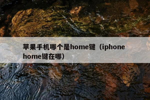 苹果手机哪个是home键（iphone home键在哪）