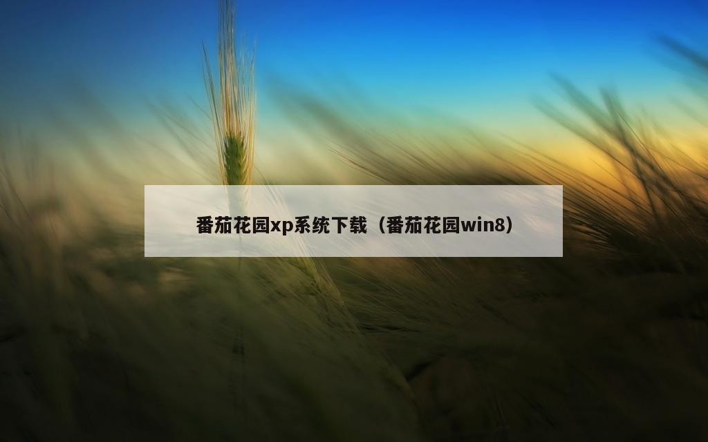 番茄花园xp系统下载（番茄花园win8）