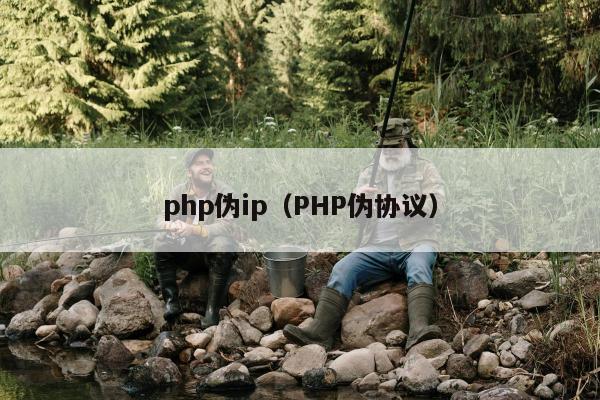 php伪ip（PHP伪协议）