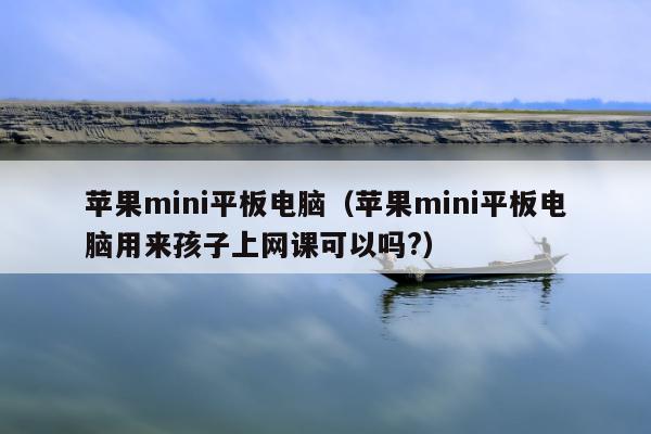 苹果mini平板电脑（苹果mini平板电脑用来孩子上网课可以吗?）