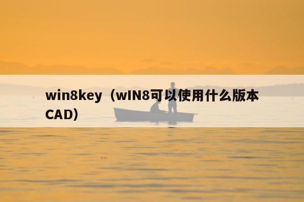 win8key（wIN8可以使用什么版本CAD）