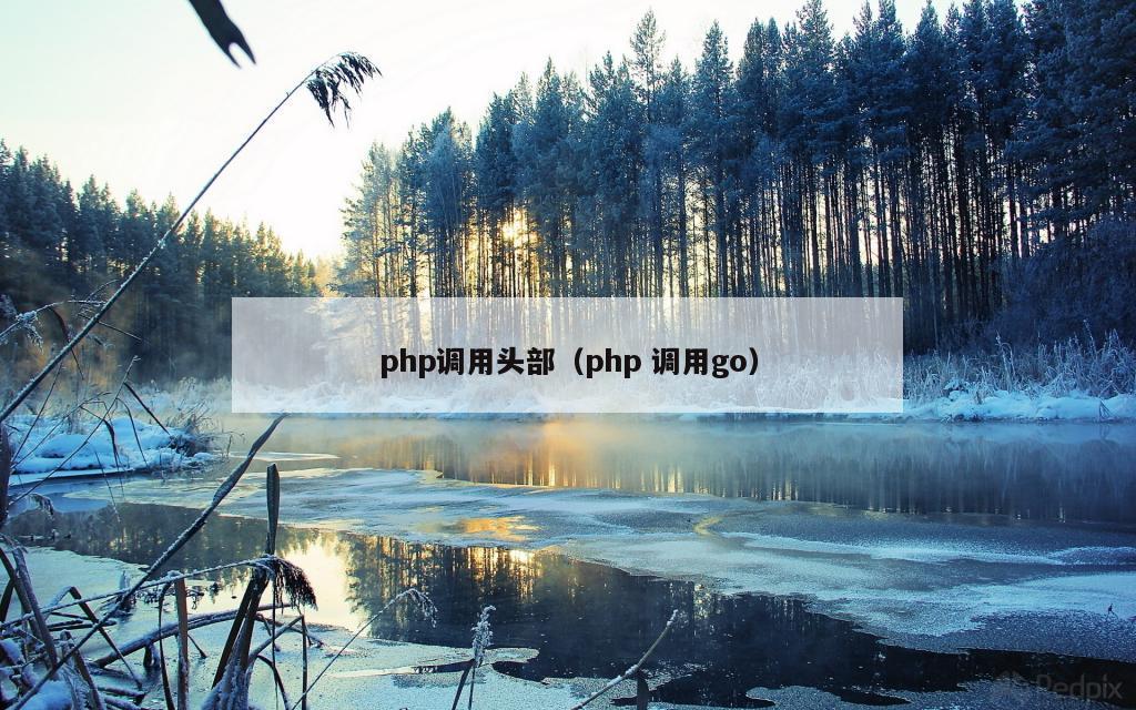 php调用头部（php 调用go）